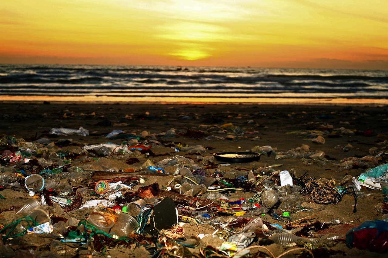 Nice photo of a disgusting beach